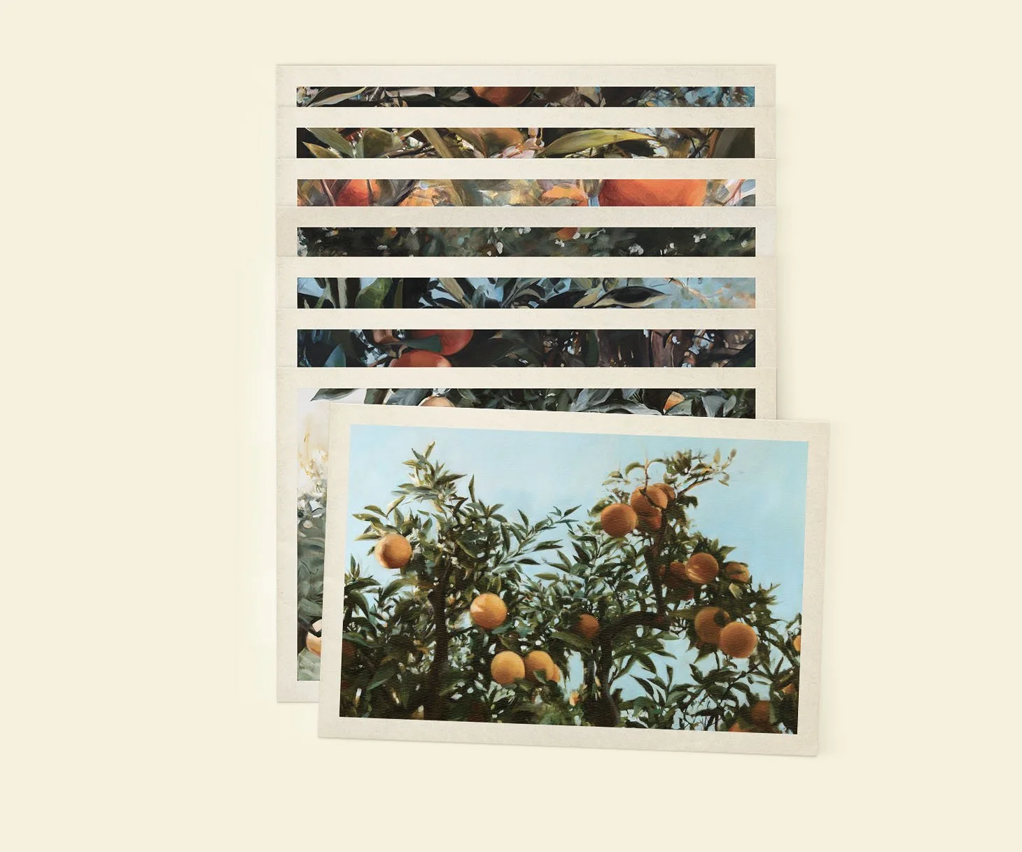 Citrus Grove Postcard Set — Rebecca Lemmon